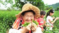 Taiwan Leisure Farm Fair