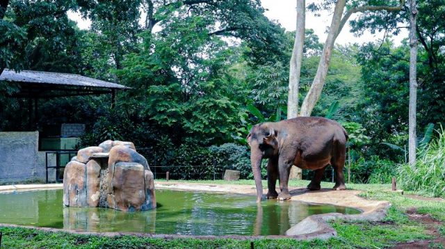 Bandung Zoo