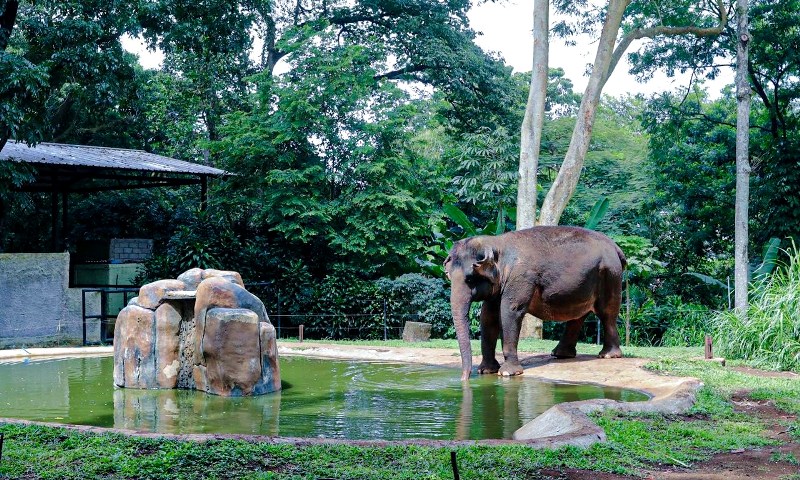 Bandung Zoo