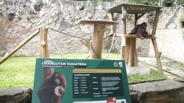 Revitalisasi Bandung Zoo