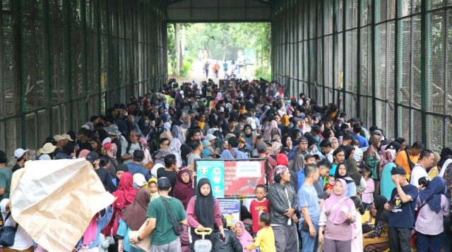 Gelombang Pengunjung