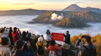 Arus Wisatawan