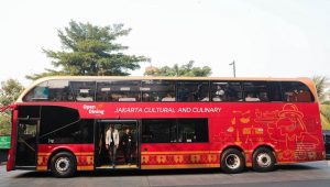 Bus Open Top Tour