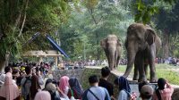 Ragunan Tiket masuk Ragunan