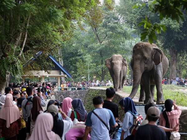 Tiket masuk Ragunan
