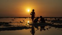 Destinasi Wisata